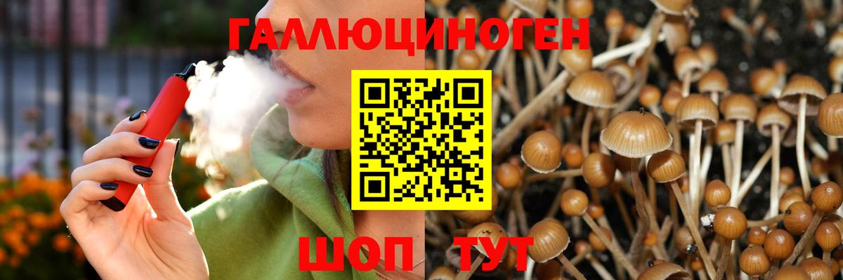 Галлюциногенные грибы Psilocybe Ревда